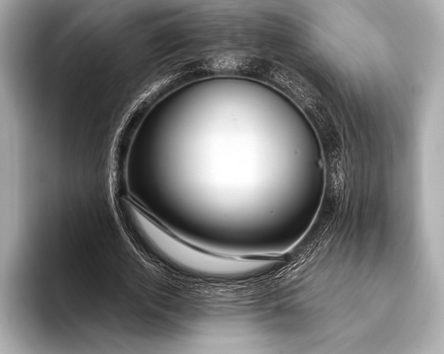 X0000094080728200711021513