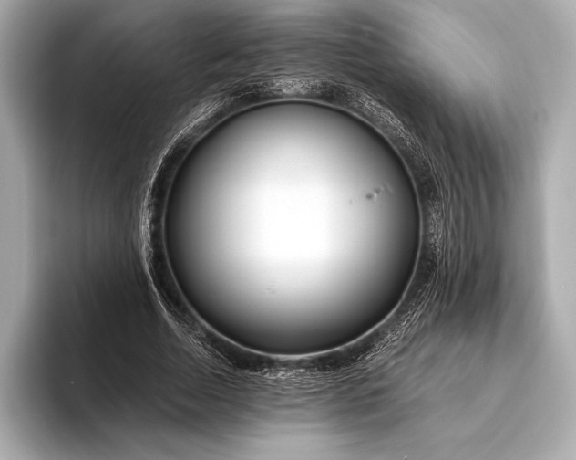 X0000094080730200711021513