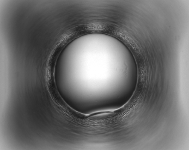 X0000094080731200711021513