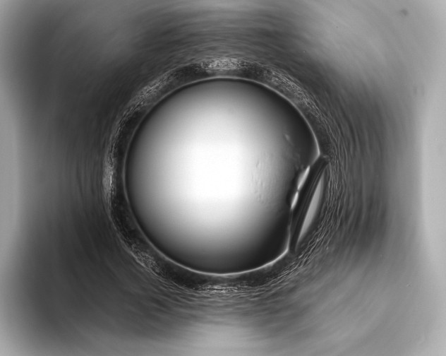 X0000094080732200711021513