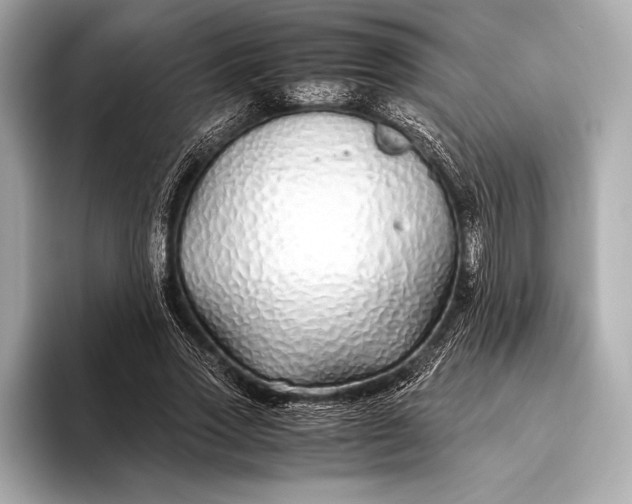 X0000094080733200711021513