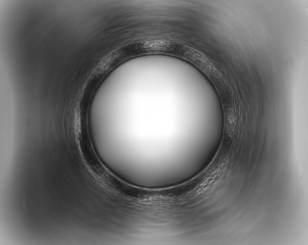 X0000094080734200711021513