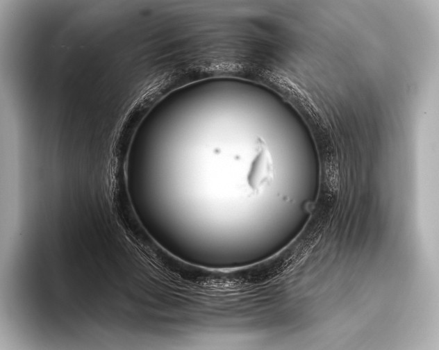 X0000094080735200711021513