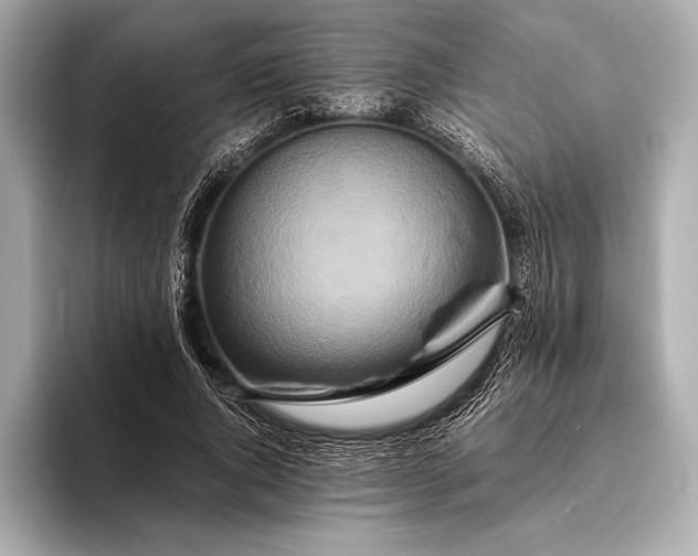 X0000094080736200711021513