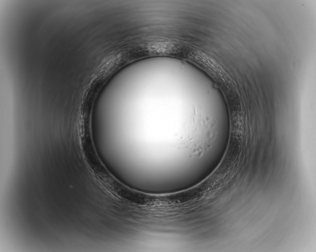 X0000094080738200711021513