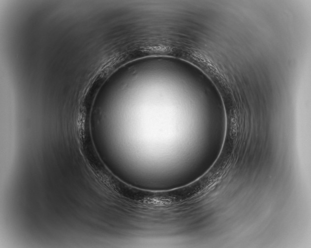 X0000094080739200711021513