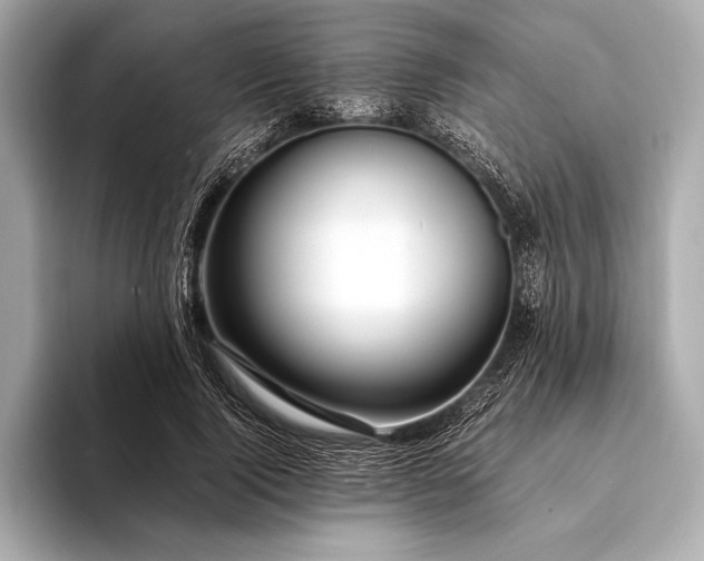 X0000094080740200711021513