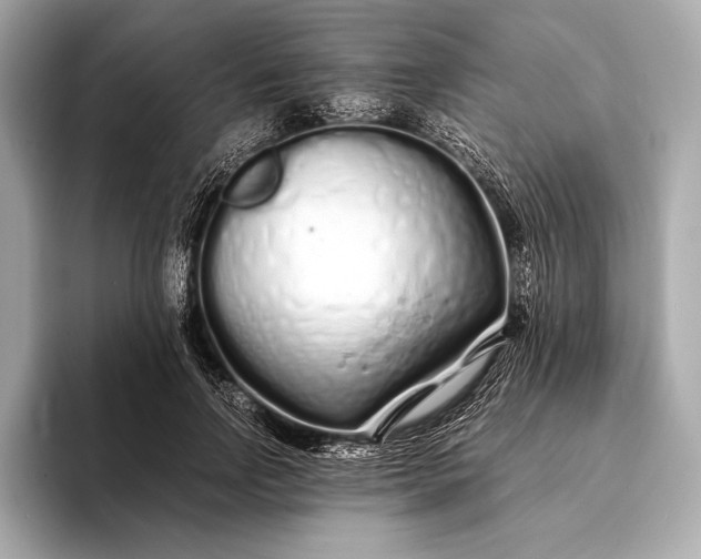 X0000094080742200711021513