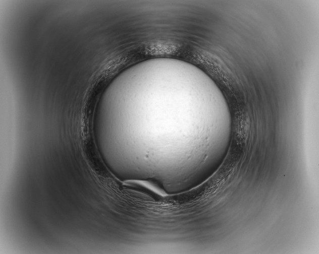 X0000094080743200711021513