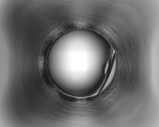 X0000094080744200711021513