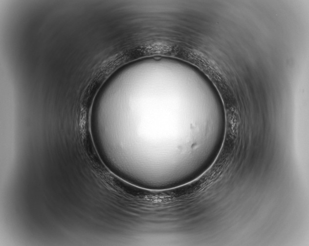 X0000094080745200711021513