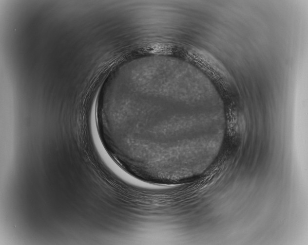 X0000094080748200711021513