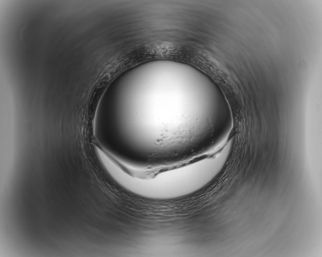 X0000094080750200711021513