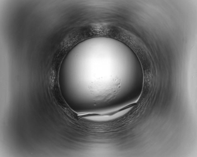 X0000094080752200711021513