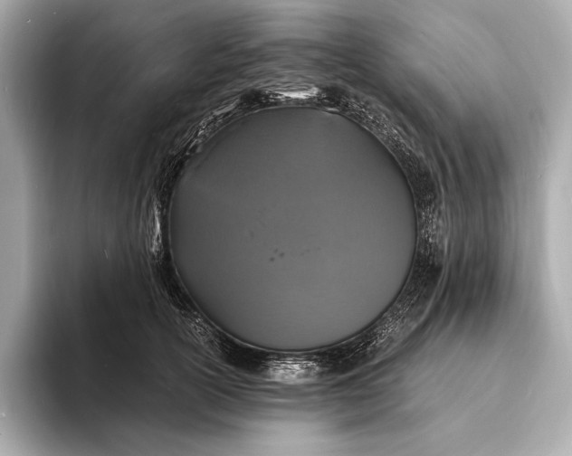 X0000094080754200711021513