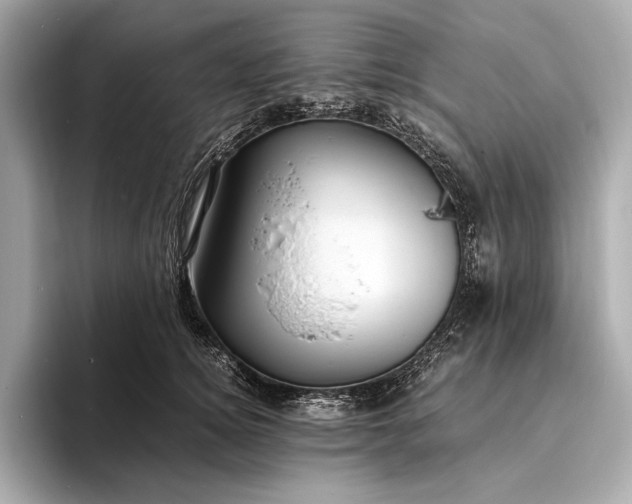 X0000094080756200711021513