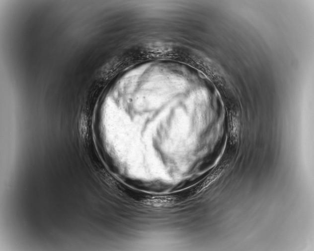 X0000094080758200711021513