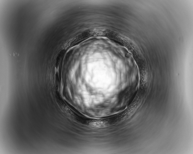 X0000094080759200711021513