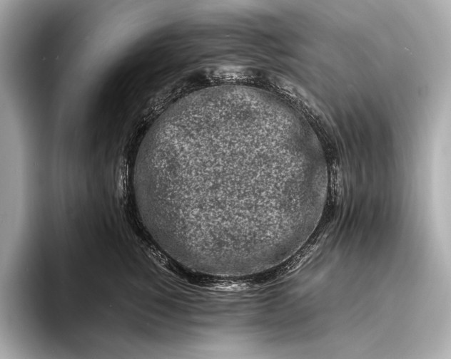 X0000094080760200711021513