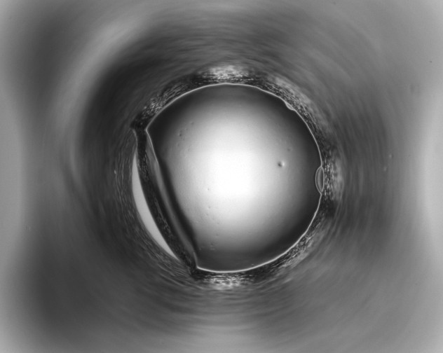 X0000094080762200711021513