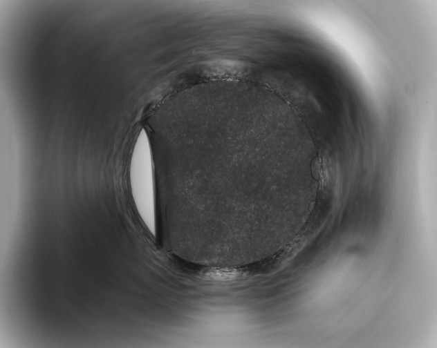 X0000094080767200711021513