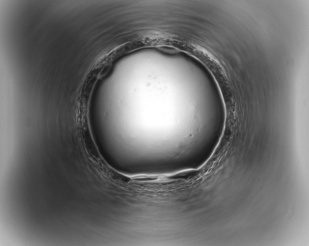 X0000094080775200711021512