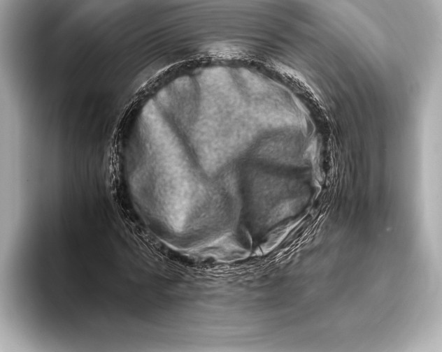 X0000094080776200711021512