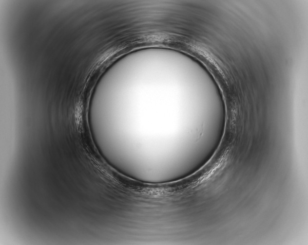 X0000094080778200711021512