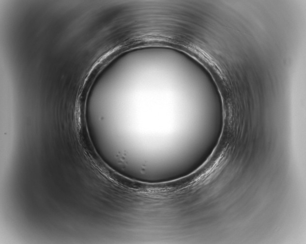 X0000094080782200711021512