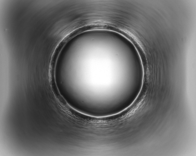 X0000094080783200711021512