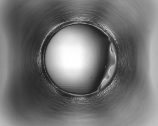 X0000094080784200711021512