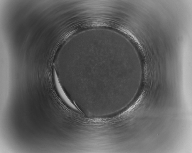 X0000094080785200711021512