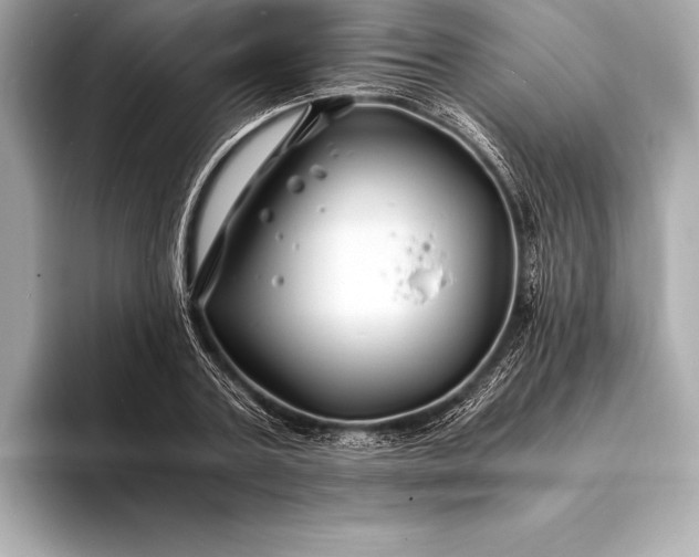 X0000094080787200711021512