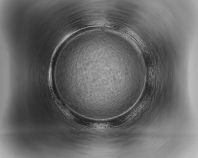 X0000094080788200711021512