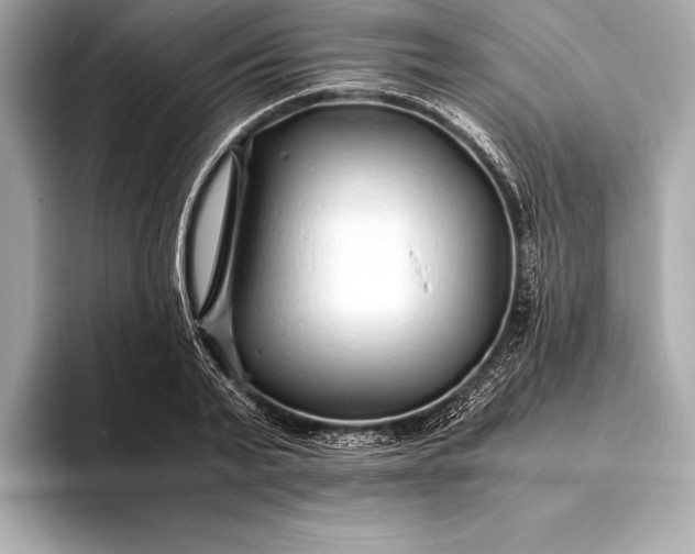 X0000094080791200711021512