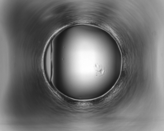 X0000094080795200711021512