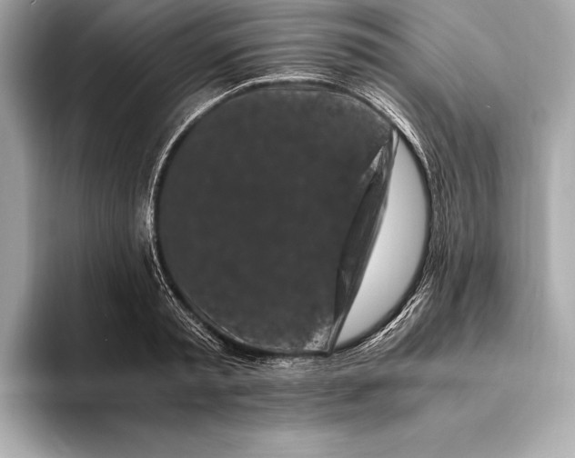 X0000094080797200711021512