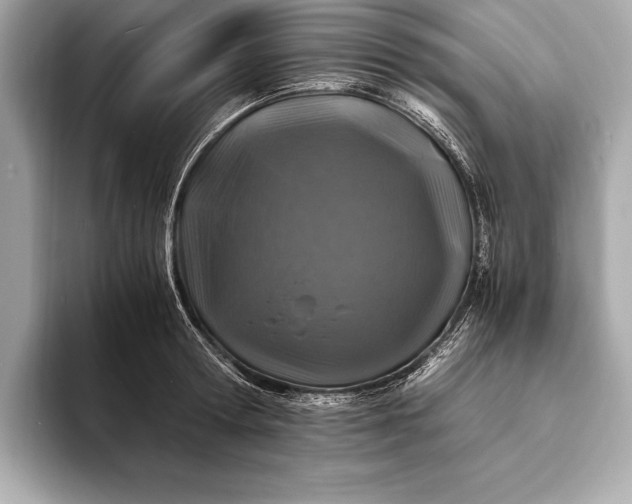 X0000094080802200711021512