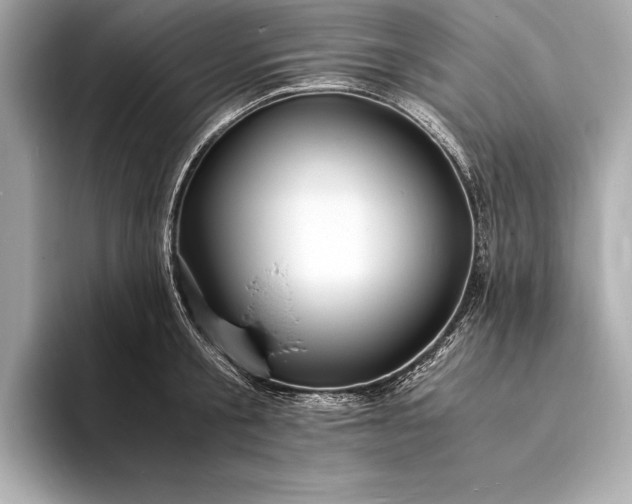 X0000094080805200711021512