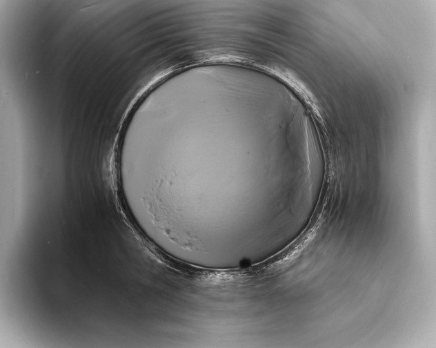 X0000094080806200711021512