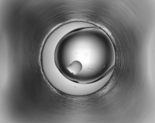 X0000094080807200711021512