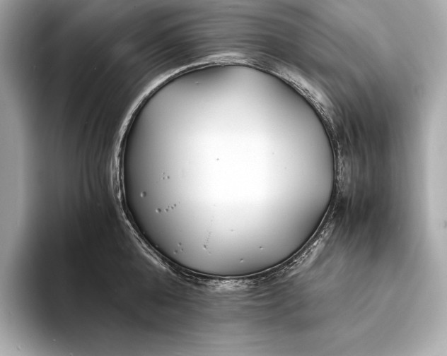 X0000094080808200711021512