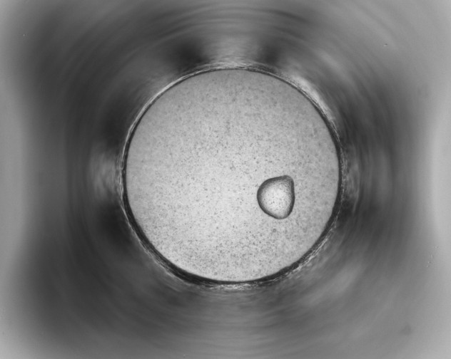 X0000094080810200711021512