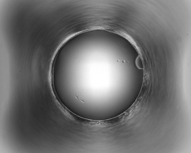 X0000094080811200711021512