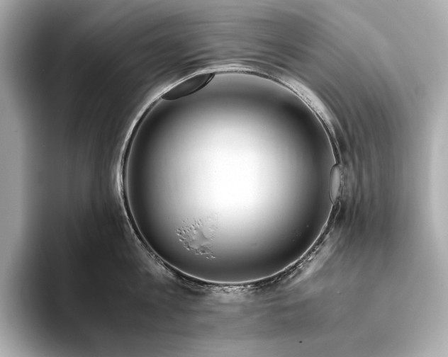 X0000094080813200711021512