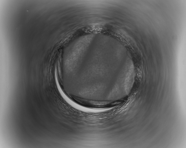 X0000094080818200711021511