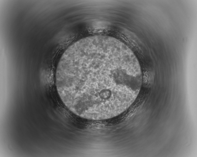 X0000094080820200711021511