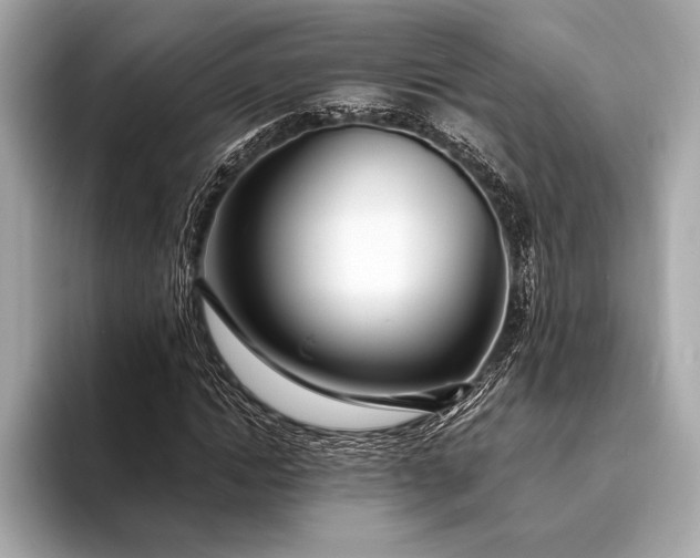 X0000094080822200711021511