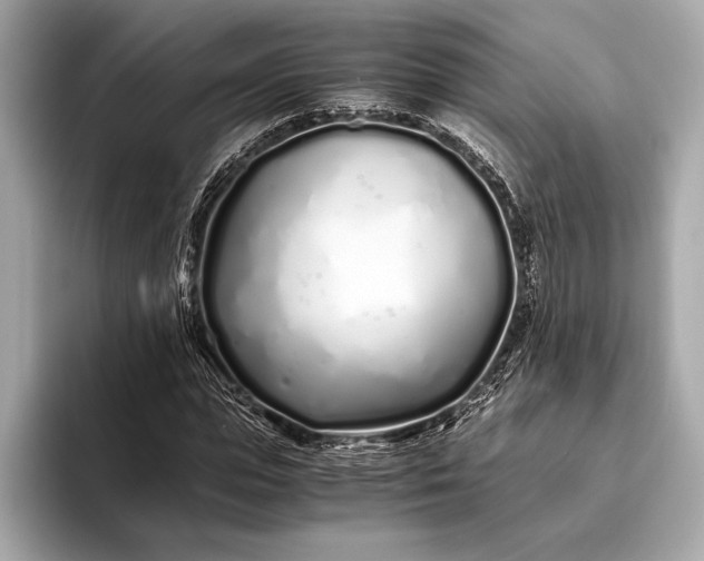 X0000094080823200711021511