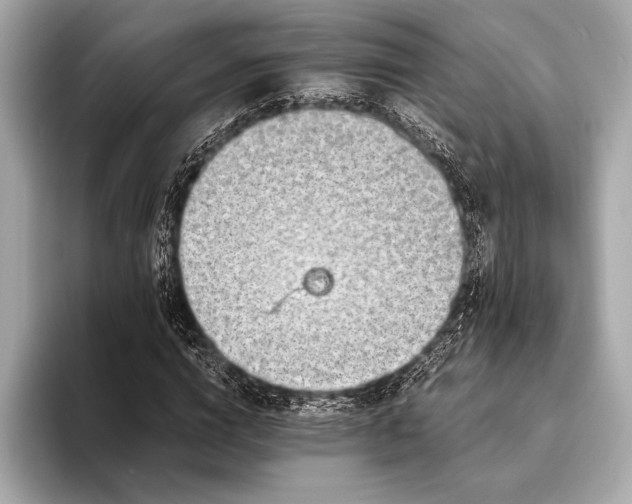 X0000094080824200711021511